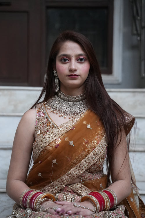 Elegant Embroidered Festive Lehenga Set